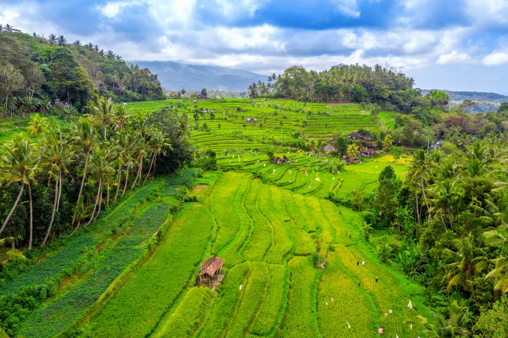 Bali Tour Package