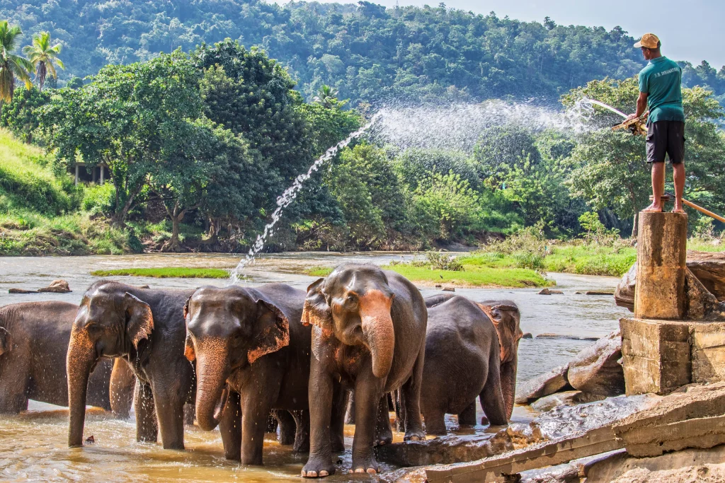 Sri Lanka Tour Package